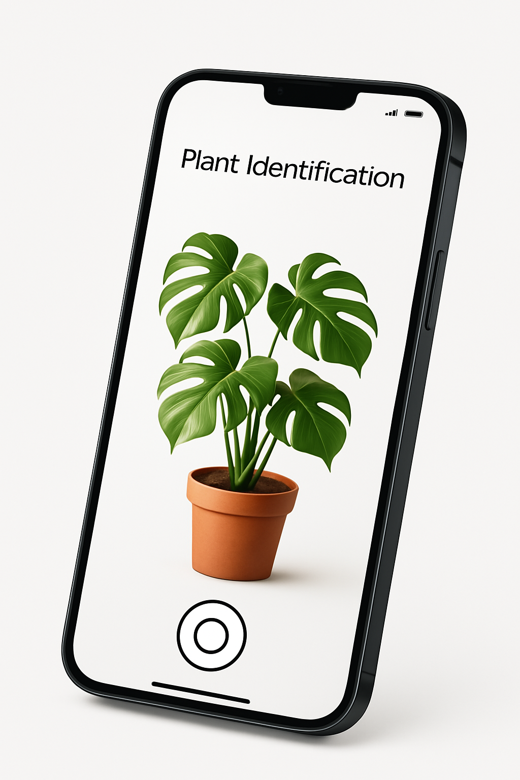 Plant identification app